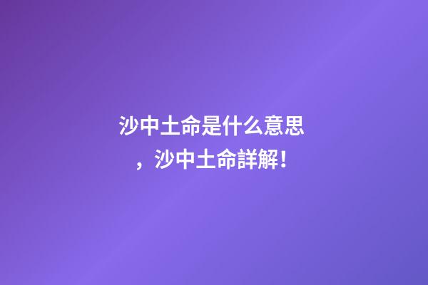 沙中土命是什么意思，沙中土命詳解！